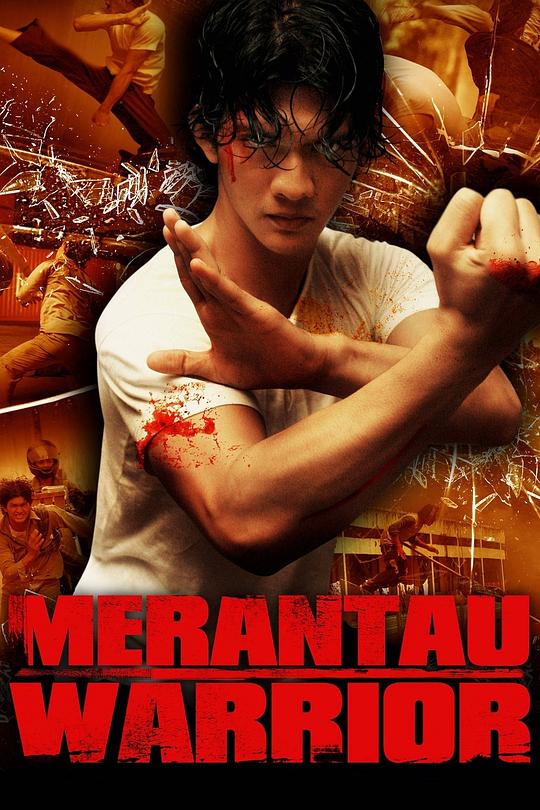 精武战士 Merantau (2009)