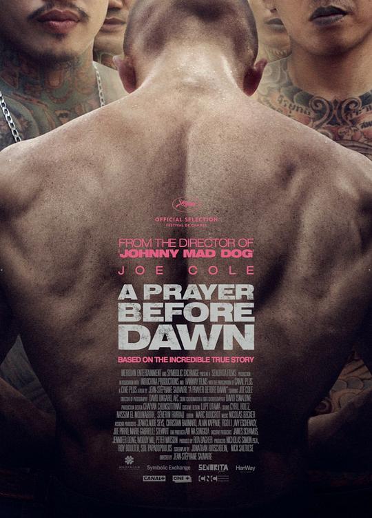 炼狱信使 A Prayer Before Dawn (2017)