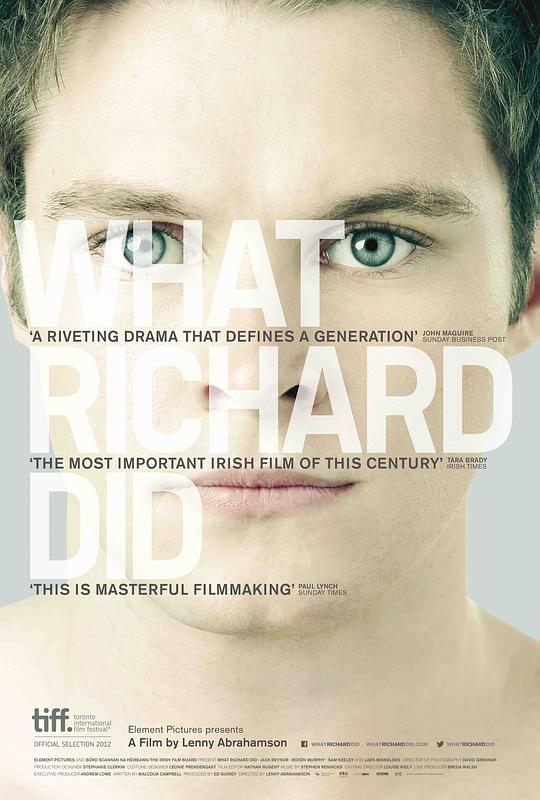 理查做了什么 What Richard Did (2012)