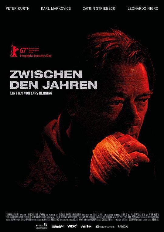 下一年 Zwischen den Jahren (2017)