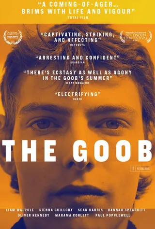 雀斑男孩 The Goob (2014)