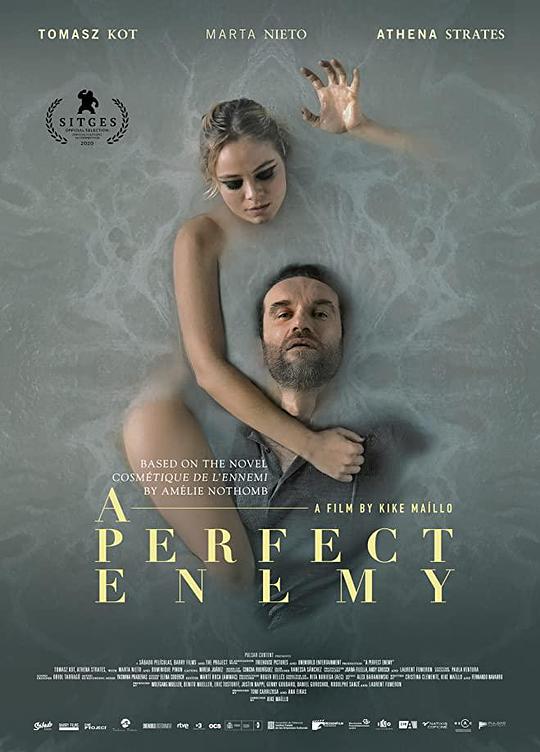 完美敌人 A Perfect Enemy (2020)