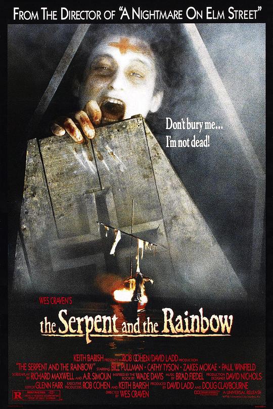 蛇与彩虹 The Serpent and the Rainbow (1988)