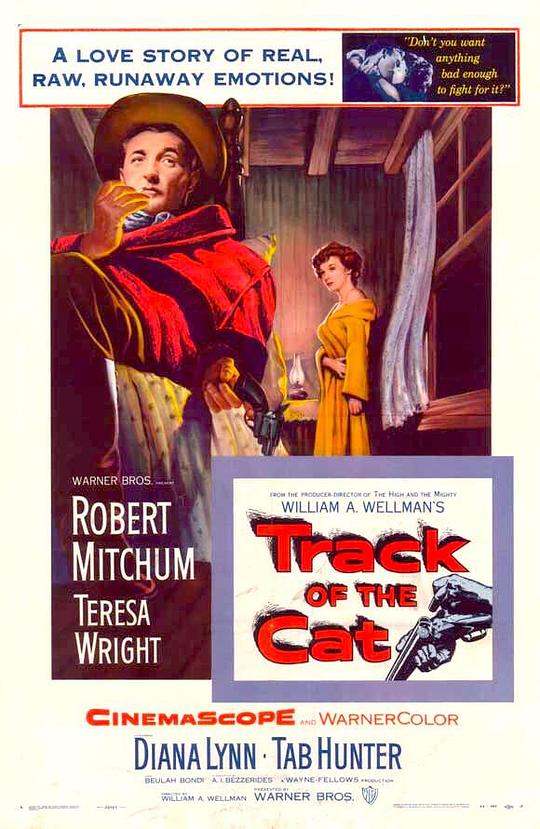 雪山恨 Track of the Cat (1954)