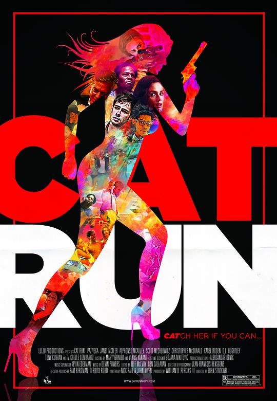 性感女特工 Cat Run (2011)