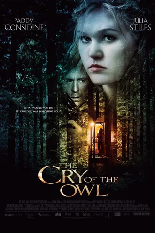 猫头鹰的哭泣 The Cry of the Owl (2009)