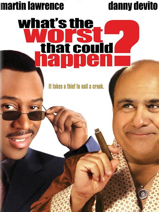 小偷遇到贼 What's the Worst That Could Happen? (2001)