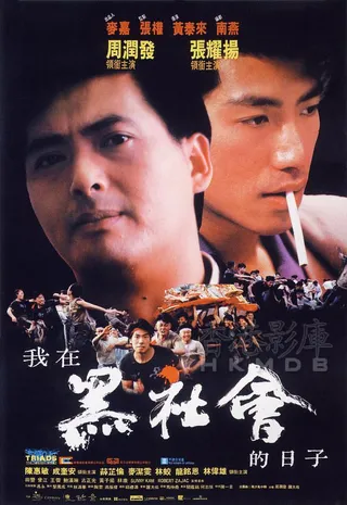 我在黑社会的日子 我在黑社會的日子 (1989)