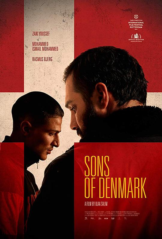 丹麦之子 Danmarks sønner (2019)