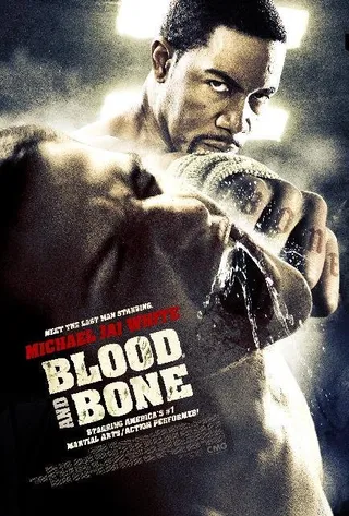 血与骨 Blood and Bone (2009)