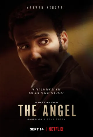 天使降临 The Angel (2018)