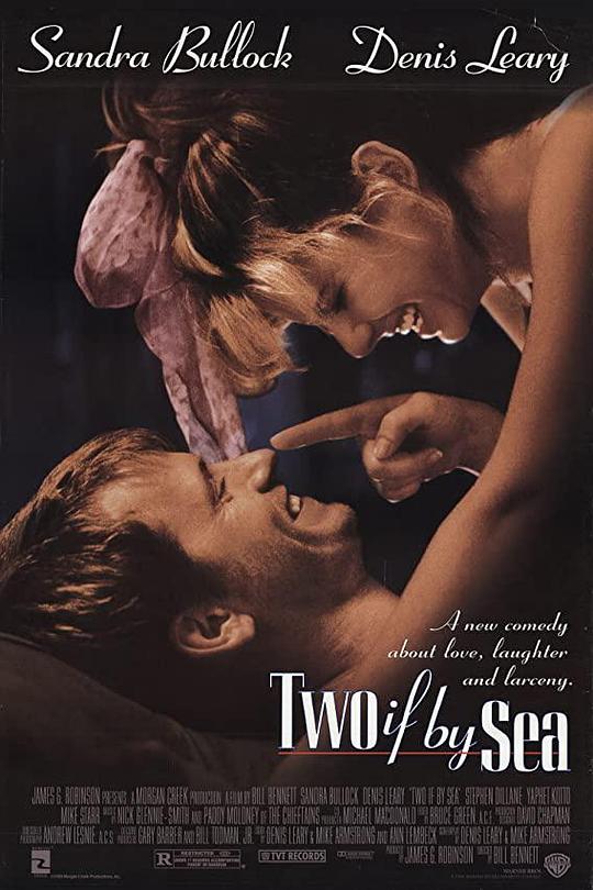 偷心计划 Two if by Sea (1996)