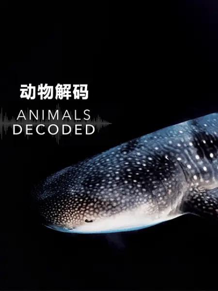 动物解码 Animals Decoded (2018)