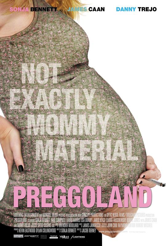 孕妇风波 Preggoland (2014)