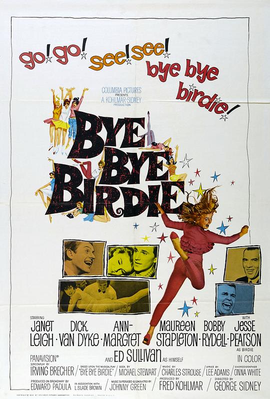 欢乐今宵 Bye Bye Birdie (1963)