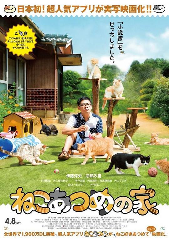 猫咪后院之家 ねこあつめの家 (2017)