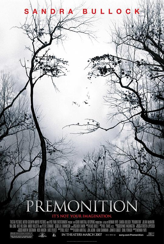 亡命感应 Premonition (2007)