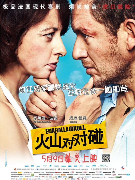 火山对对碰 Eyjafjallajökull (2013)