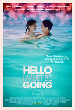 我必将离去 Hello I Must Be Going (2012)