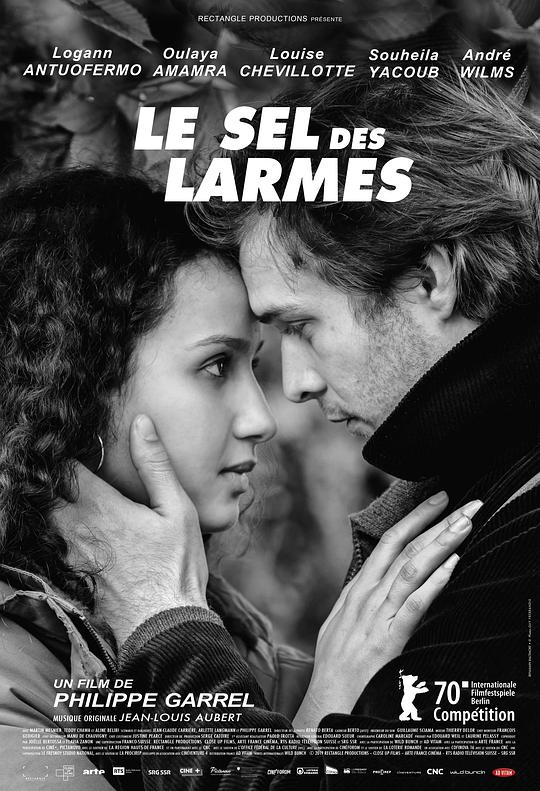 眼泪之盐 Le sel des larmes (2020)