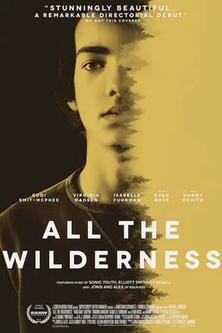 荒原上的青春 All the Wilderness (2014)