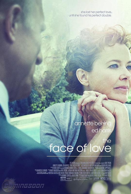 爱情的模样 The Face of Love (2013)