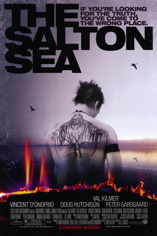 万里追凶 The Salton Sea (2002)