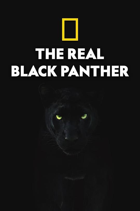 真黑豹无双 The Real Black Panther (2020)