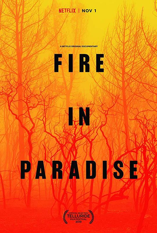 天堂镇大火 Fire in Paradise (2019)