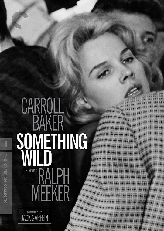 断肠孤凤 Something Wild (1961)