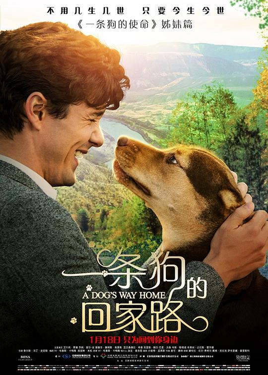 一条狗的回家路 A Dog's Way Home (2019)