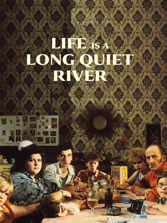 生活是条静静的河流 La Vie est un long fleuve tranquille (1988)