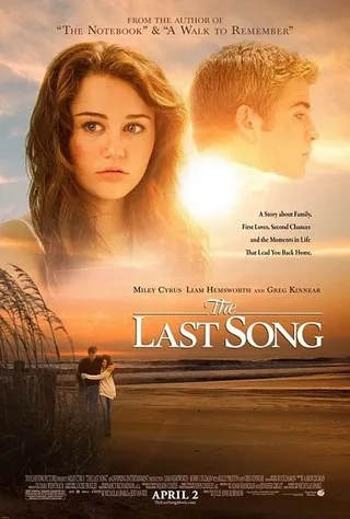 最后一支歌 The Last Song (2010)