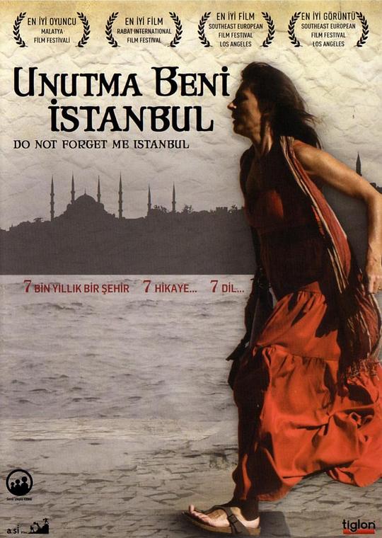 伊斯坦布尔，请不要将我遗忘 Unutma Beni İstanbul (2011)