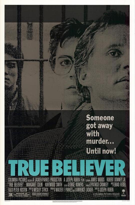 法网终结者 True Believer (1989)