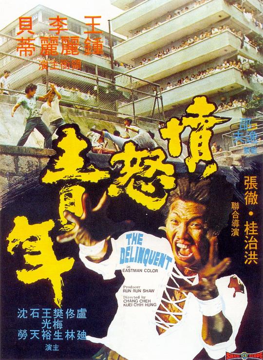 愤怒青年 憤怒青年 (1973)