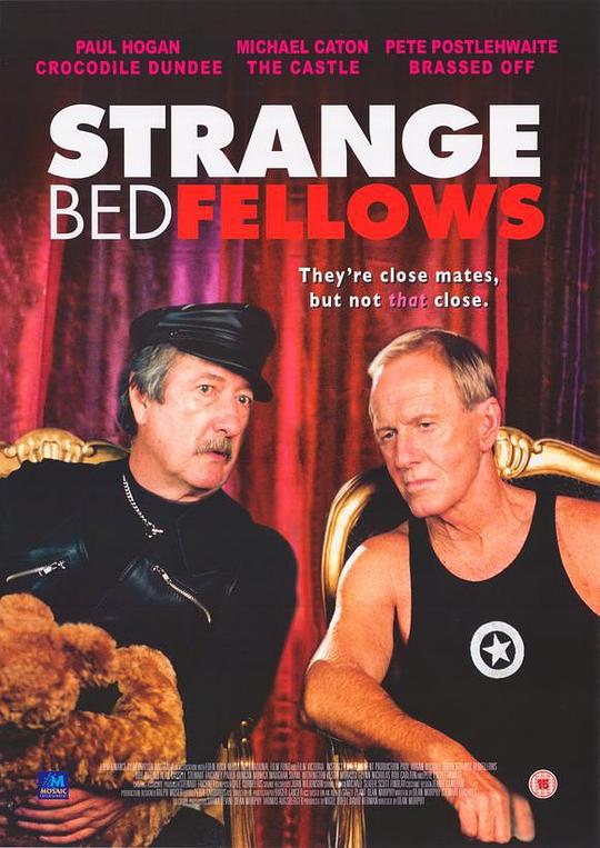 怪异同床人 Strange Bedfellows (2004)