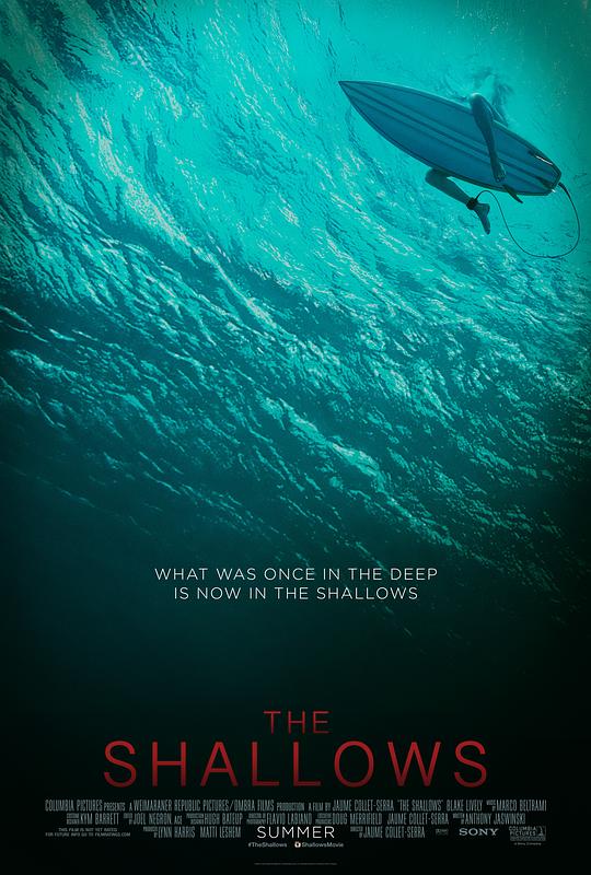 鲨滩 The Shallows (2016)