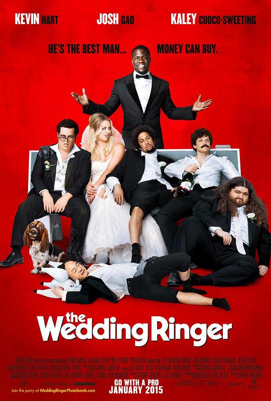 定制伴郎 The Wedding Ringer (2015)