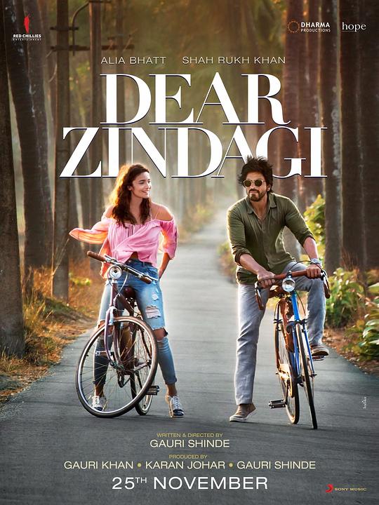 美好的人生 Dear Zindagi (2016)