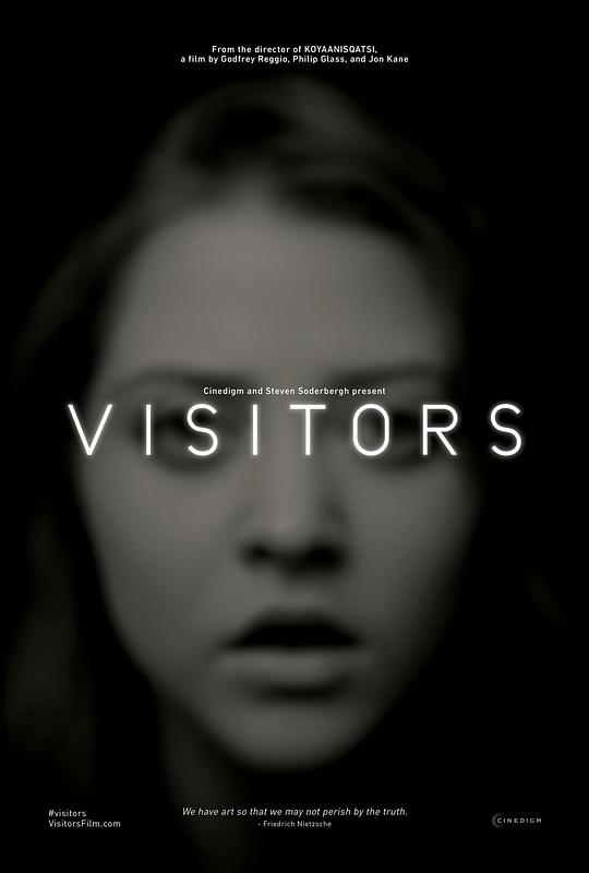 拜访者 Visitors (2013)