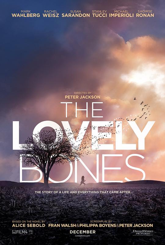 可爱的骨头 The Lovely Bones (2009)