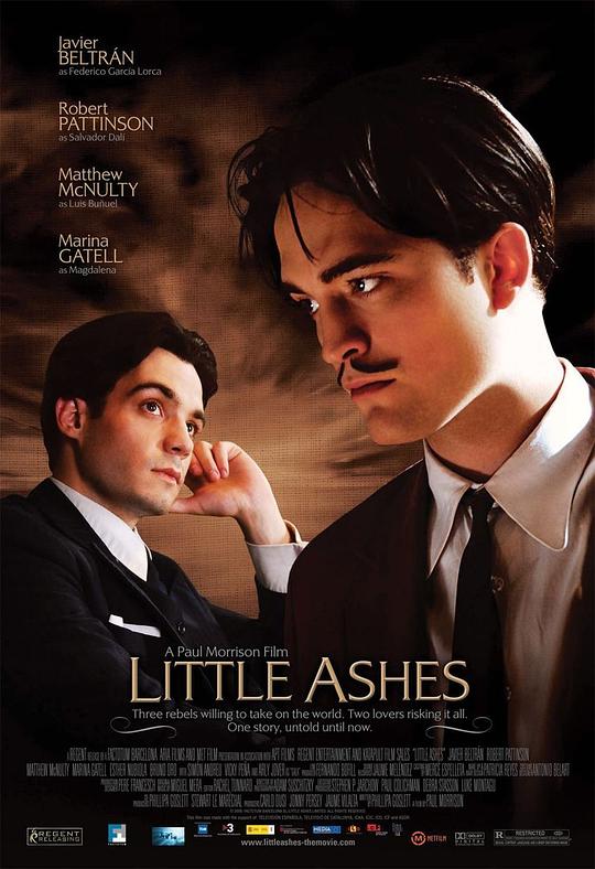 少许灰烬 Little Ashes (2008)