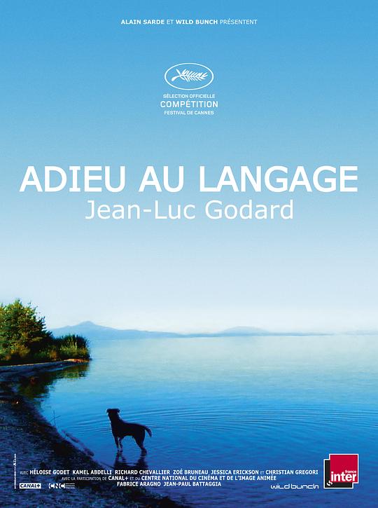 再见语言 Adieu au langage (2014)