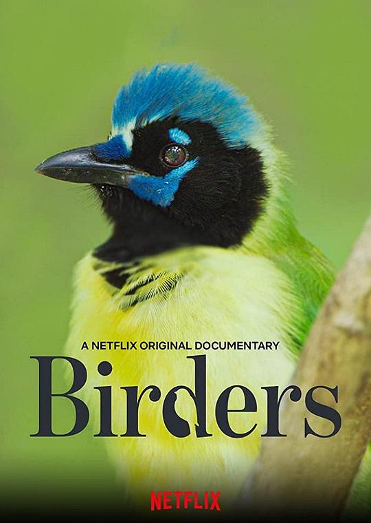 观鸟者 Birders (2019)