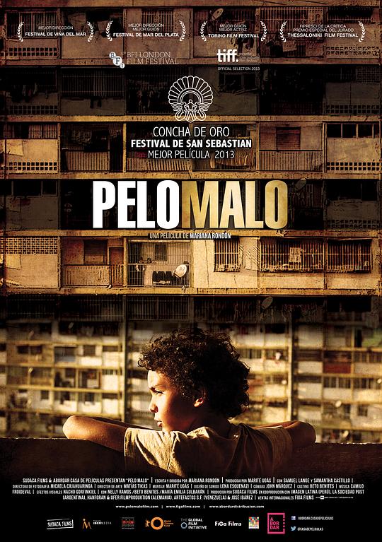 坏头发 Pelo malo (2013)