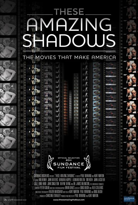 神奇的影像 These Amazing Shadows (2011)