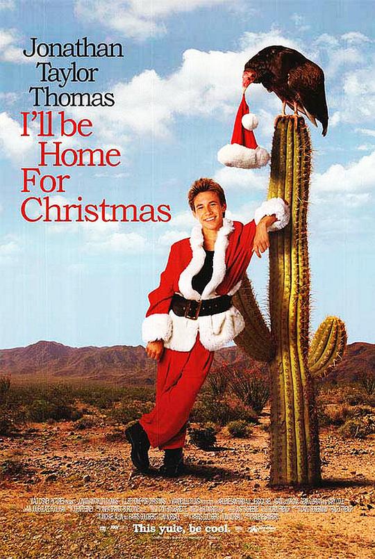 一路闯关过圣诞 I'll Be Home for Christmas (1998)