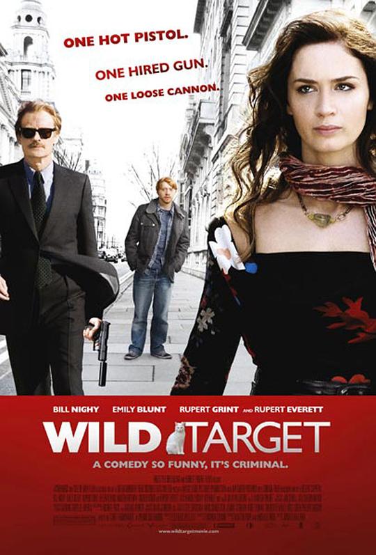 狂野目标 Wild Target (2010)