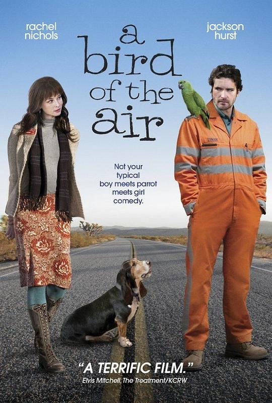 空中的飞鸟 A Bird of the Air (2011)